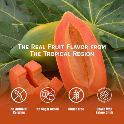 Vinut 100% Papaya Juice – No Added Sugar, 16.9 Fl Oz Cans – 12 Pack