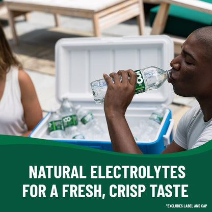 POLAND SPRING 100% NATURAL SPRING WATER, 16.9 OZ BOTTLES (PACK OF 24)