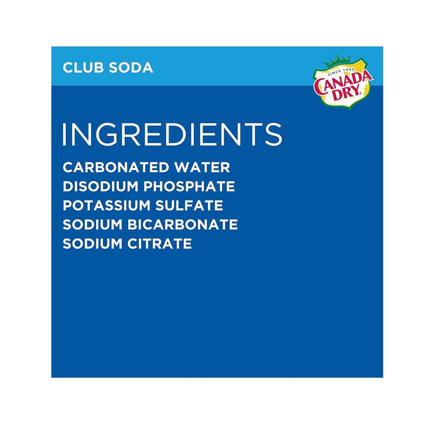 CANADA DRY CLUB SODA – 1 LITER BOTTLES – PACK OF 12