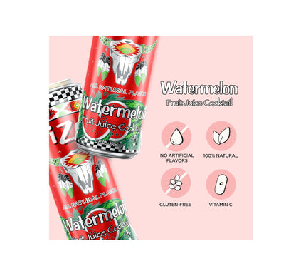 ARIZONA WATERMELON FRUIT JUICE COCKTAIL – 22 FL OZ BIG CANS – PACK OF 12