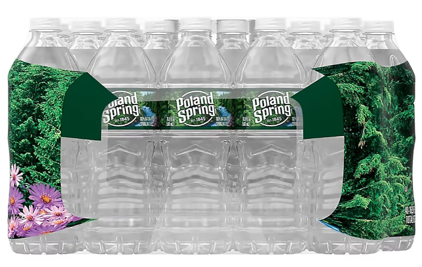 POLAND SPRING 100% NATURAL SPRING WATER, 16.9 FL OZ BOTTLES (PACK OF 40)