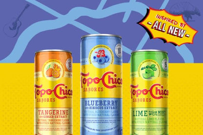 Topo Chico Sabores Sparkling Mineral Water – Blueberry Hibiscus, 12 Oz Cans – 8 Pack