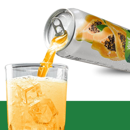 Vinut 100% Papaya Juice – No Added Sugar, 16.9 Fl Oz Cans – 12 Pack