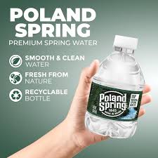 POLAND SPRING 100% NATURAL SPRING WATER, 8 OZ BOTTLES (48 PACK)