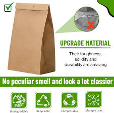 BROWN KRAFT PAPER LUNCH BAGS – 6 LB SIZE – 500 COUNT