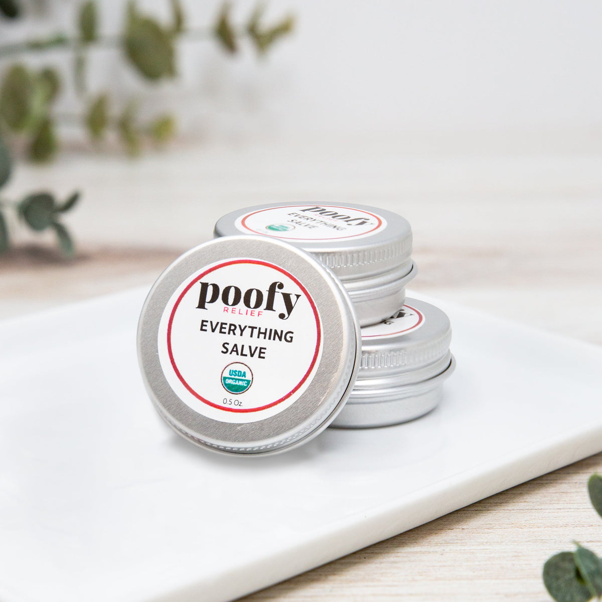 Everything Salve Organic - Travel Set (3 pk)